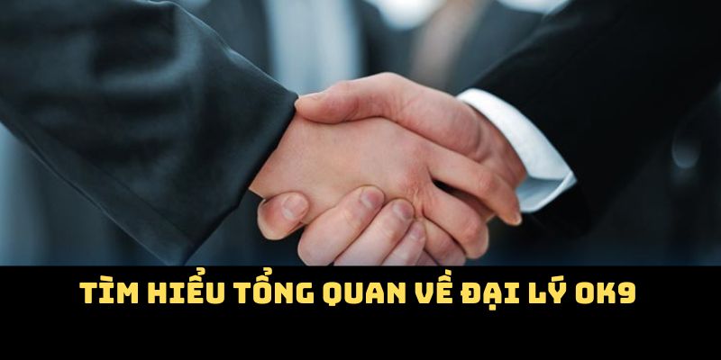 Tìm hiểu tổng quan về đại lý OK9