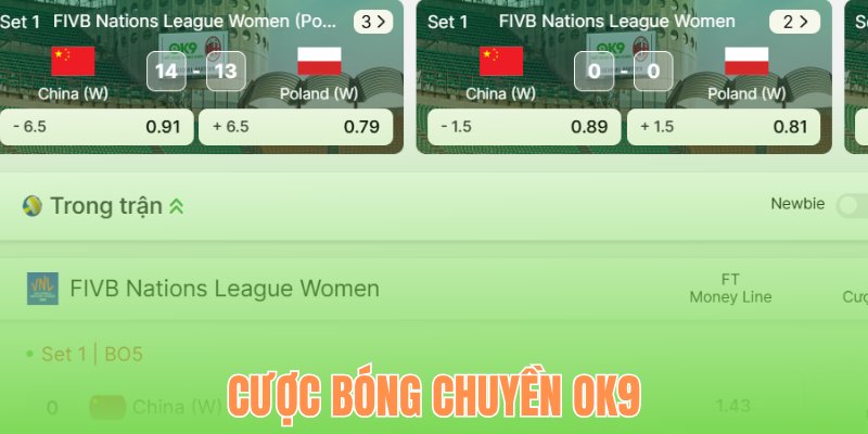 Cược bóng chuyền OK9
