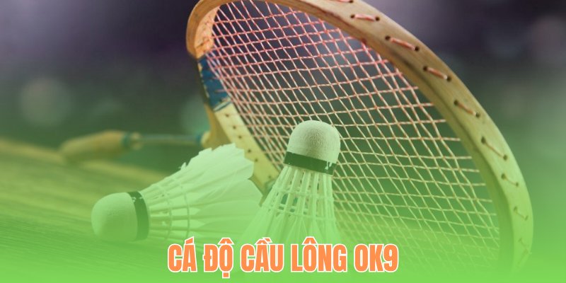 Cá độ cầu lông OK9